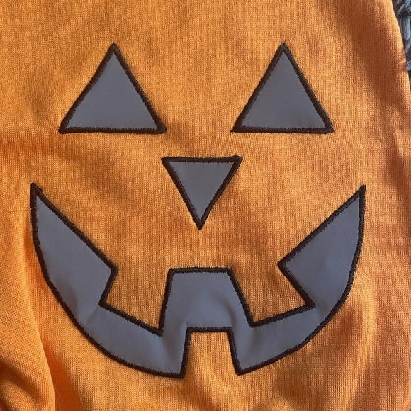 Hyde and Eek! Reflective Jack-O-Lantern Pet Hoodie - Picture 4 of 11